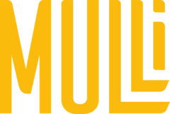Светотехническая компания MULLI