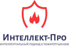 Интеллект-Про
