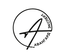 Авангард Эксперт Авангард Эксперт