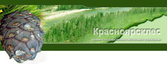 Красноярское управление лесами
