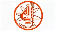 СибНИИРС, филиал ИЦиГ СО РАН