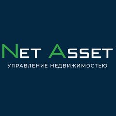 Net Asset