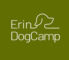 ErinDogCamp
