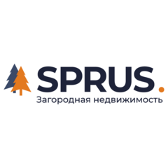 Спрус