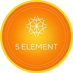 5Element, авторский курс Макпал Карибжановой