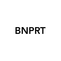 BNPRT (ООО ЗАРНЕР)