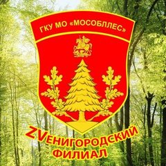Звенигородский филиал ГКУ МО Мособллес
