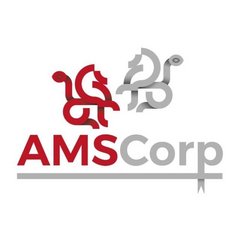 AMS Inc