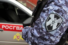 Управление Вневедомственной Охраны ВНГ РФ по Новосибирской Области