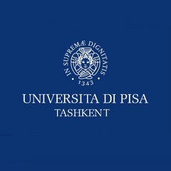 НОУ Toshkent shahridagi Piza Universiteti Filiali