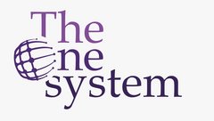 The One System (ИП Жумабаев)