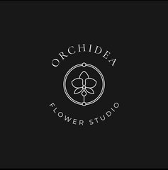 Орхидея плюс