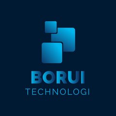 BORUI Technology