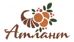 Белицкий Дмитрий Петрович