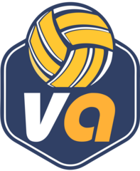 VOLLEYART