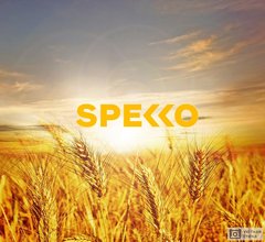 Спекко