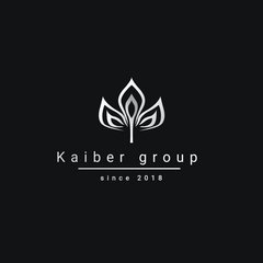 Kaiber group