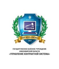 ГКУ НСО УКСис