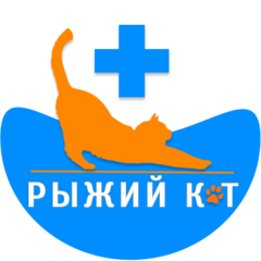 Сеть ветеринарных клиник Рыжий Кот (ИП Баутина Анна Александровна)