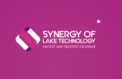 Synergy of Lake Technology