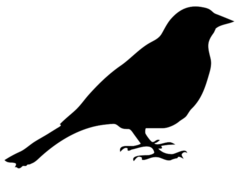 КЕННЕР