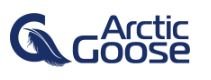Arctic goose