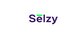 Selzy