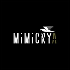 Стильпротект