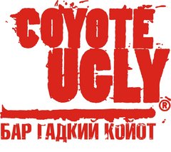 Шейкер Групп