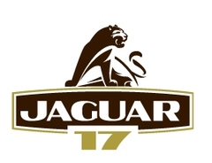 Ягуар-17