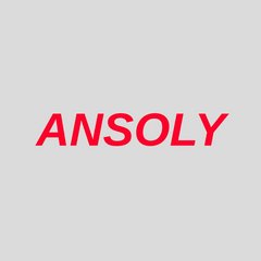 Ansoly Agency