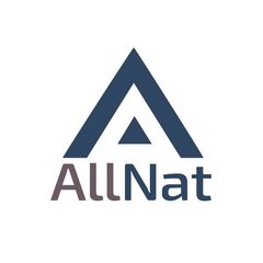 Аутсорсинговая фирма Allnat