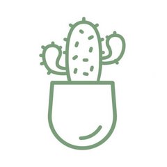 Beauty studio Cactus
