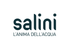 Salini SRL