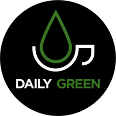 Кофейня Daily Green