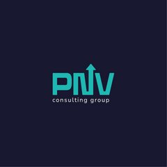 PNV Consulting Group
