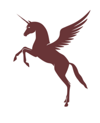 Unicorn Capital Partners