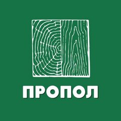 Мостовая Анна Александровна