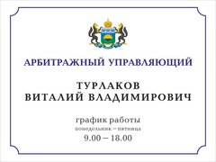 Арбитражный управляющий Турлаков Виталий Владимирович