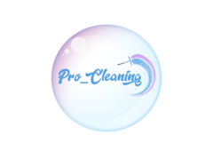 Pro_cleaning_02