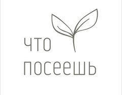 Что посеешь