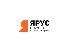 Ярус