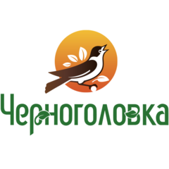 ГК Черноголовка