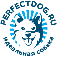 PerfectDog