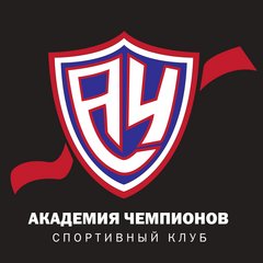 Академия Чемпионов