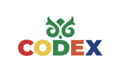 CODEX SCHOOL