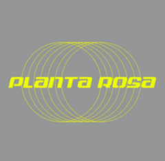 Planta Rosa