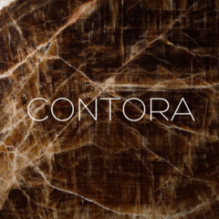 Дизайн интерьера CONTORA