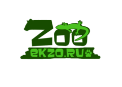 Zoo collection