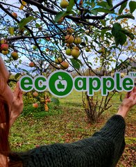 Eco-apple